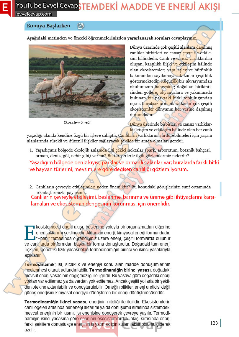 10-sinif-biyoloji-ders-kitabi-cevaplari-meb-yayinlari-2025-2026-sayfa-123