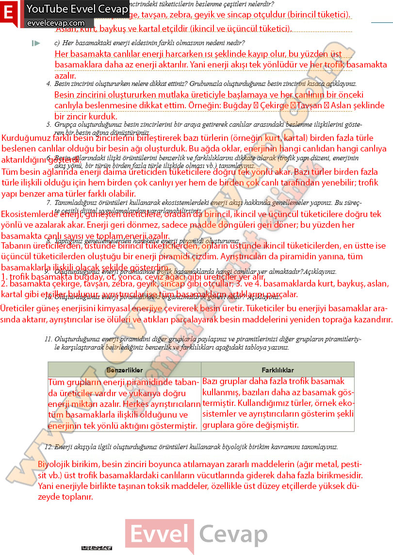 10-sinif-biyoloji-ders-kitabi-cevaplari-meb-yayinlari-2025-2026-sayfa-125
