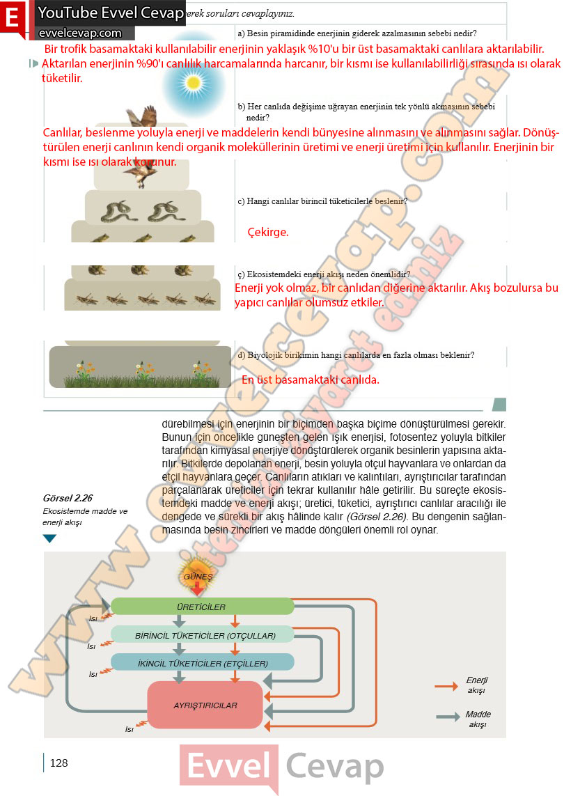 10-sinif-biyoloji-ders-kitabi-cevaplari-meb-yayinlari-2025-2026-sayfa-128