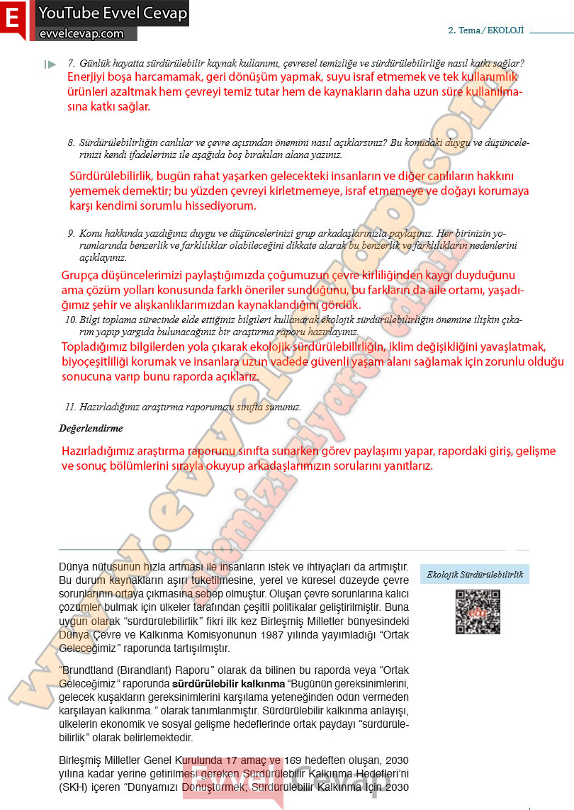 10-sinif-biyoloji-ders-kitabi-cevaplari-meb-yayinlari-2025-2026-sayfa-141