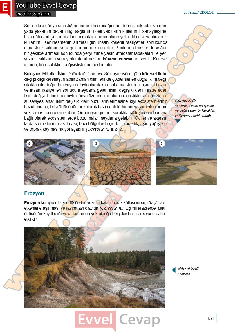 10-sinif-biyoloji-ders-kitabi-cevaplari-meb-yayinlari-2025-2026-sayfa-151