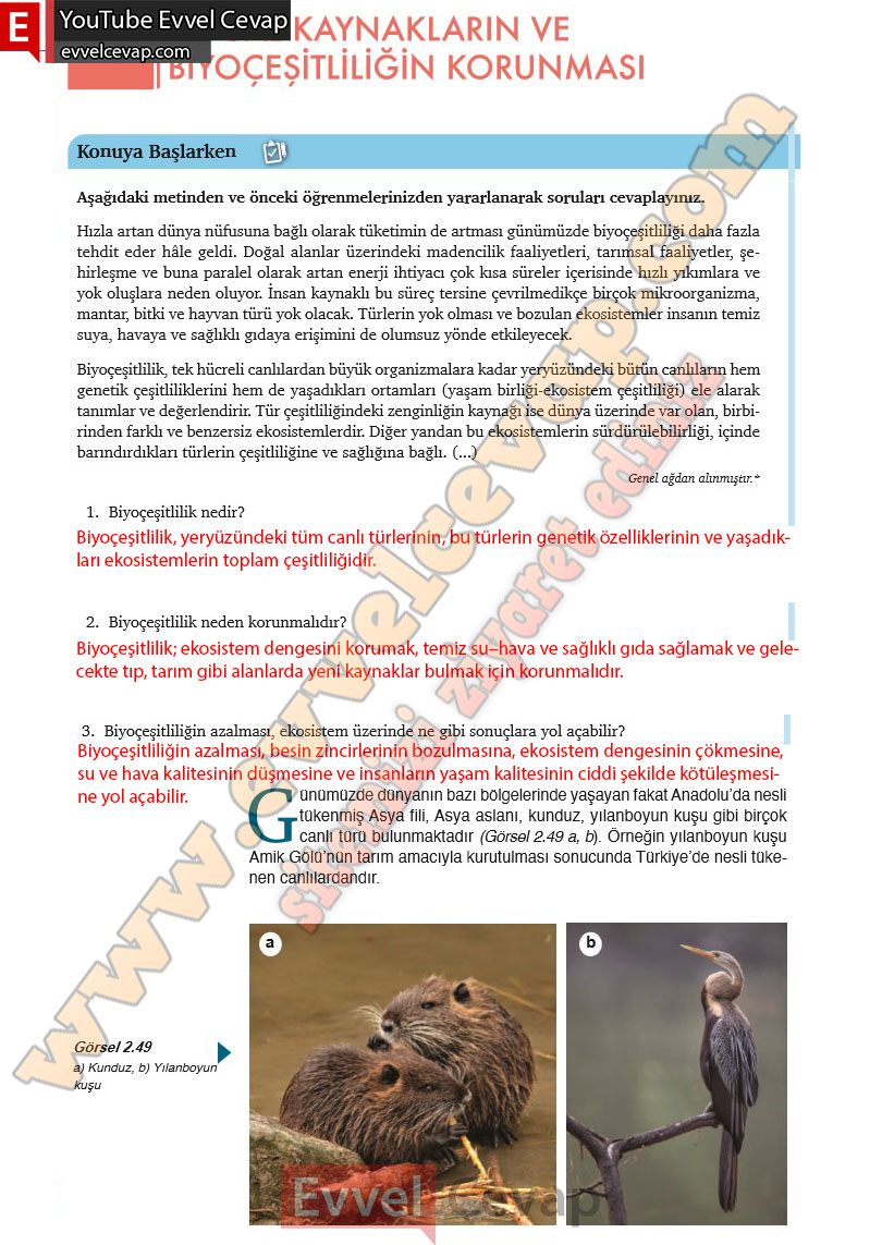 10-sinif-biyoloji-ders-kitabi-cevaplari-meb-yayinlari-2025-2026-sayfa-160