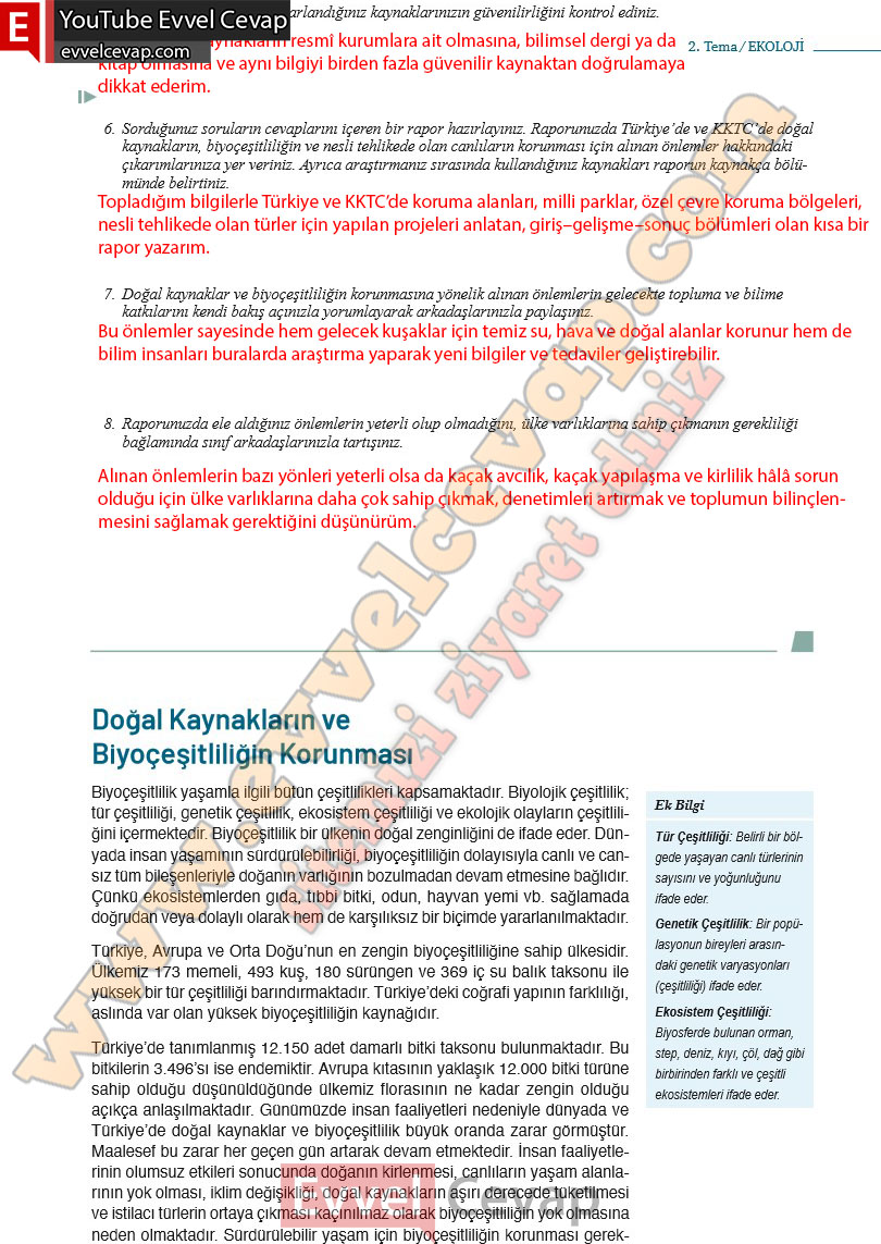 10-sinif-biyoloji-ders-kitabi-cevaplari-meb-yayinlari-2025-2026-sayfa-163