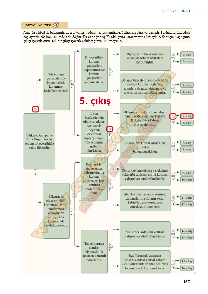 10-sinif-biyoloji-ders-kitabi-cevaplari-meb-yayinlari-2025-2026-sayfa-167