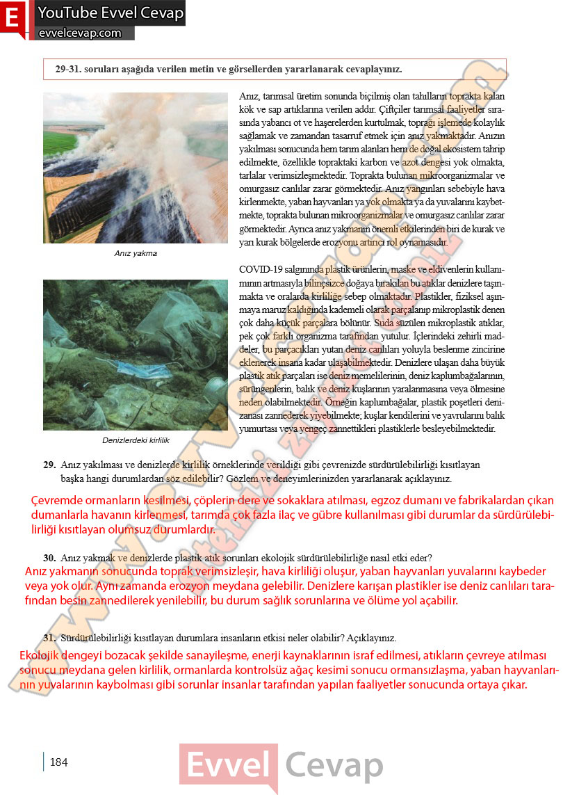 10-sinif-biyoloji-ders-kitabi-cevaplari-meb-yayinlari-2025-2026-sayfa-184