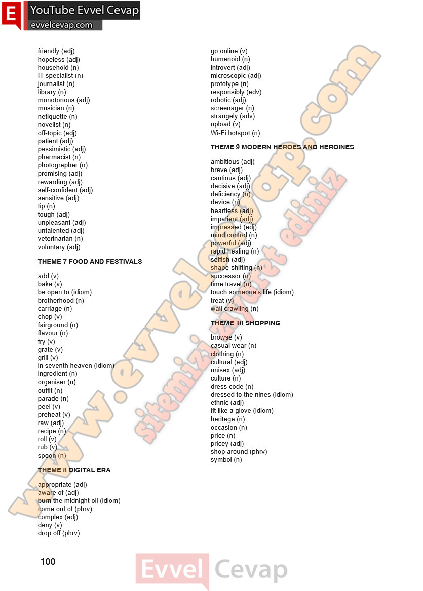 10-sinif-ingilizce-spice-up-ders-kitabi-cevabi-sayfa-100