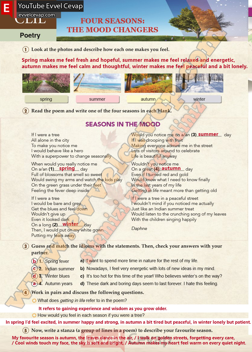 10-sinif-ingilizce-spice-up-ders-kitabi-cevabi-sayfa-84