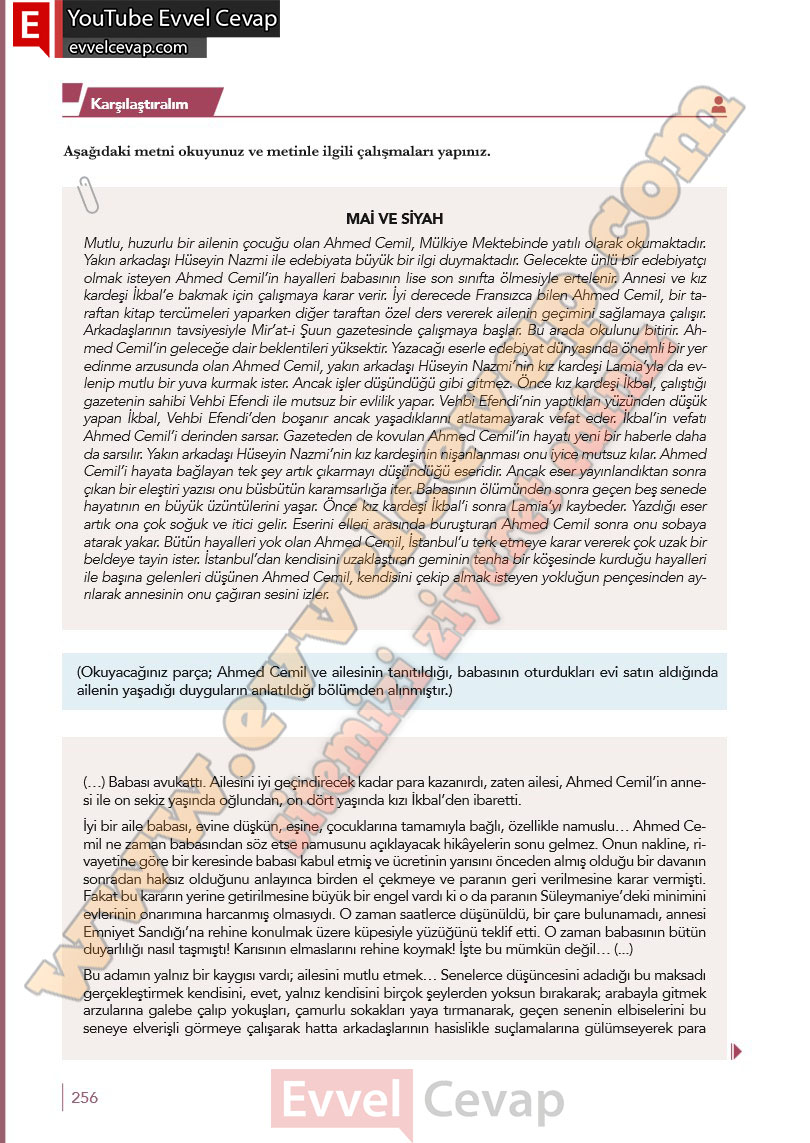 10-sinif-turk-dili-ve-edebiyati-ders-kitabi-meb-yayinlari-cevabi-sayfa-256