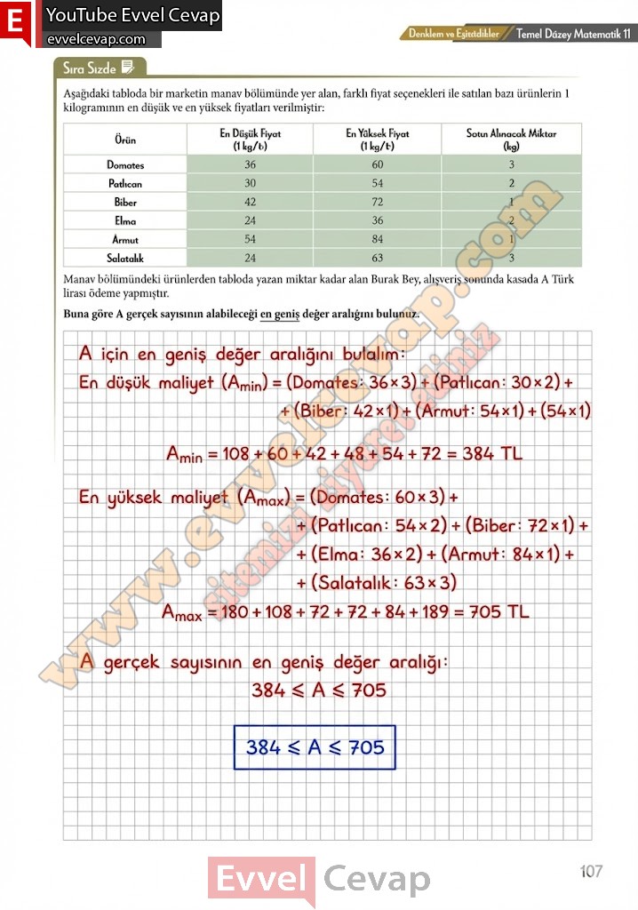 11-sinif-temel-duzey-matematik-ders-kitabi-cevabi-meb-yayinlari-sayfa-107