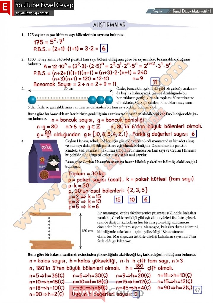11-sinif-temel-duzey-matematik-ders-kitabi-cevabi-meb-yayinlari-sayfa-47