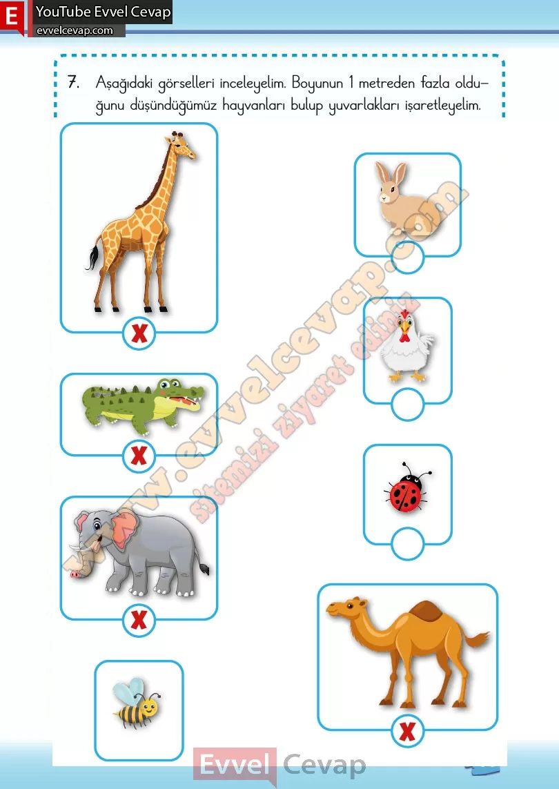 2-sinif-matematik-ders-kitabi-cevabi-meb-yayinlari-2-kitap-sayfa-133