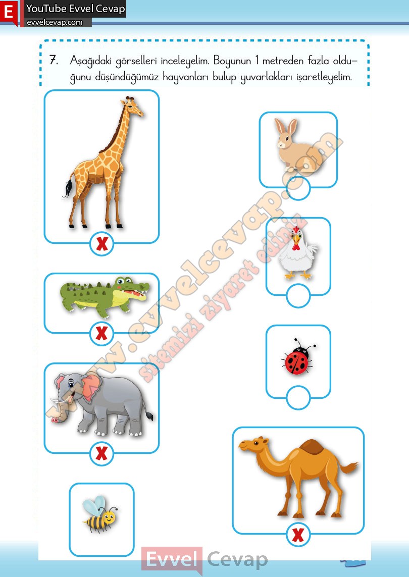 2-sinif-matematik-ders-kitabi-cevabi-meb-yayinlari-2-kitap-sayfa-133