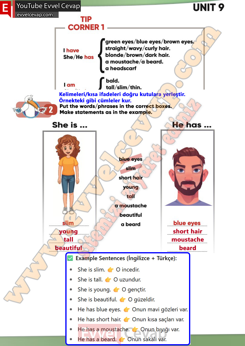 4-sinif-ingilizce-ders-kitabi-cevabi-sayfa-109-2025-2026