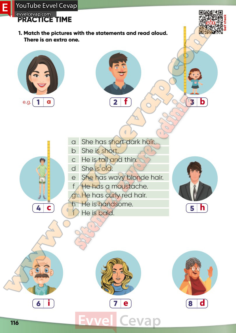 4-sinif-ingilizce-ders-kitabi-cevabi-sayfa-116-2025-2026