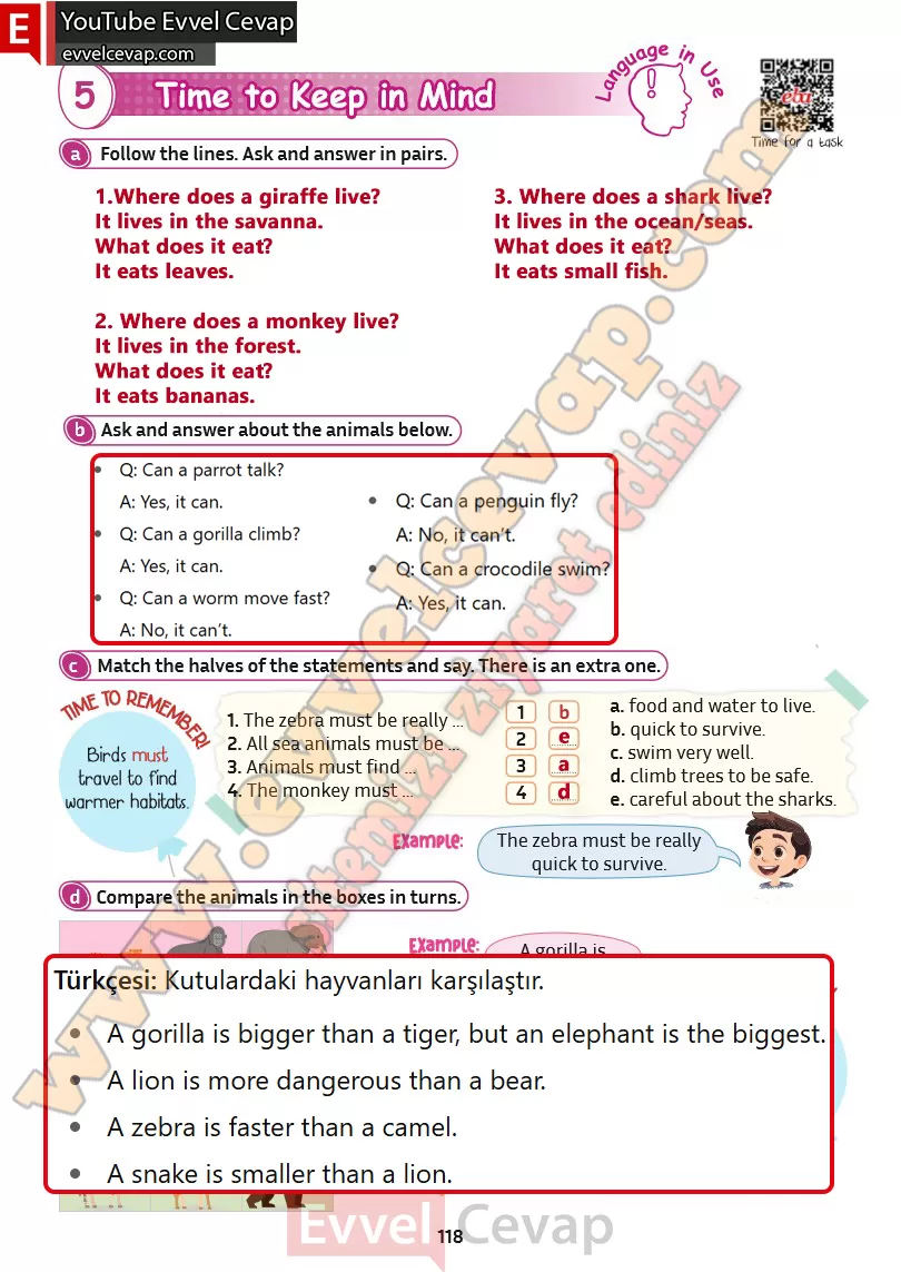 5-sinif-ingilizce-kitabi-cevabi-sayfa-118-2025-2026