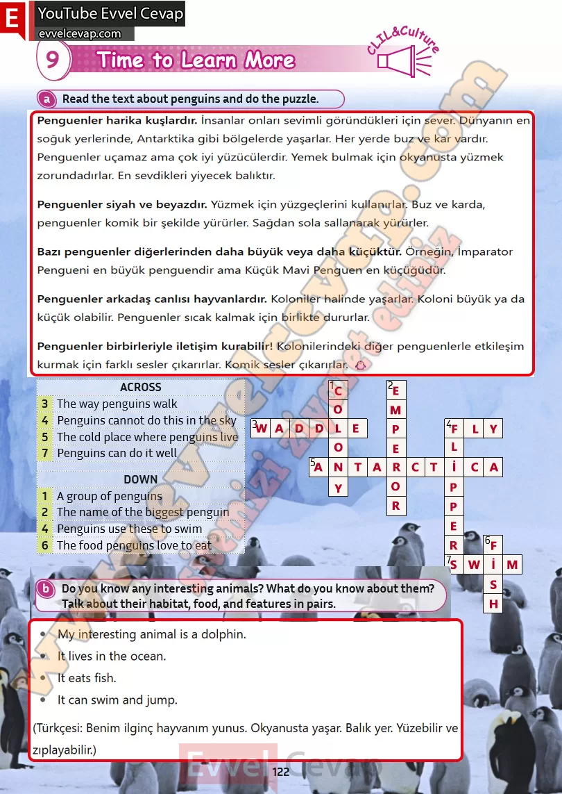 5-sinif-ingilizce-kitabi-cevabi-sayfa-122-2025-2026