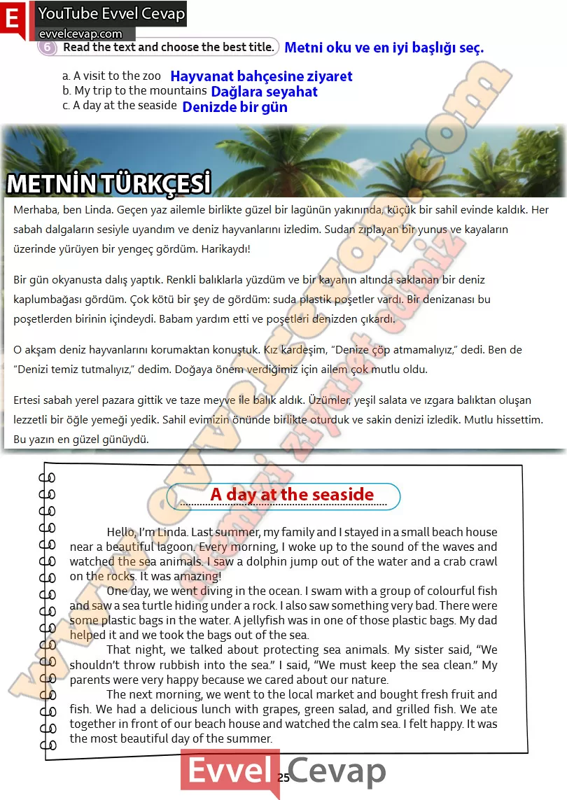5-sinif-ingilizce-kitabi-cevabi-sayfa-25-2025-2026