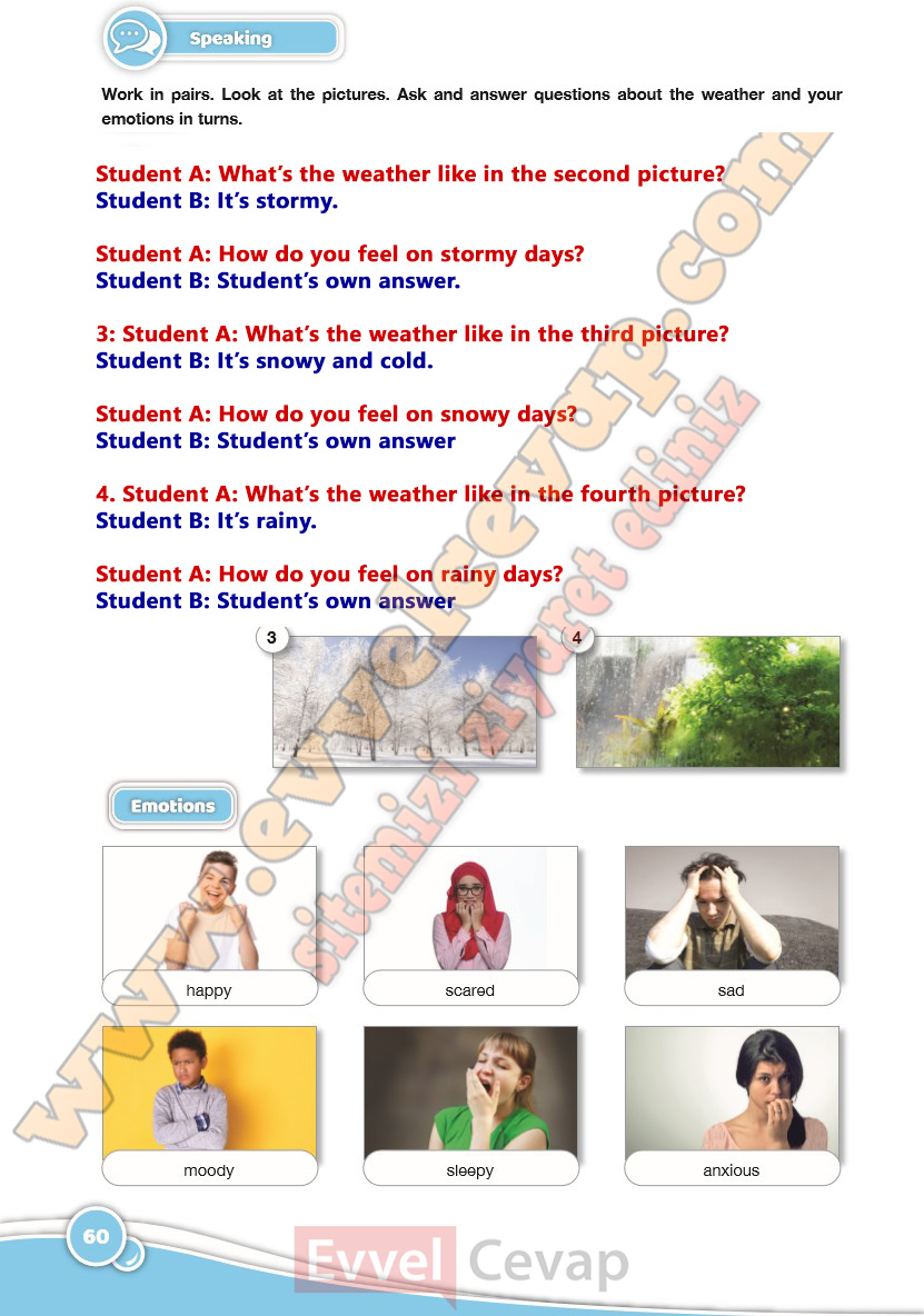 6-sinif-ingilizce-ders-kitabi-cevabi-ozgun-yayinlari-sayfa-60-2025-2026