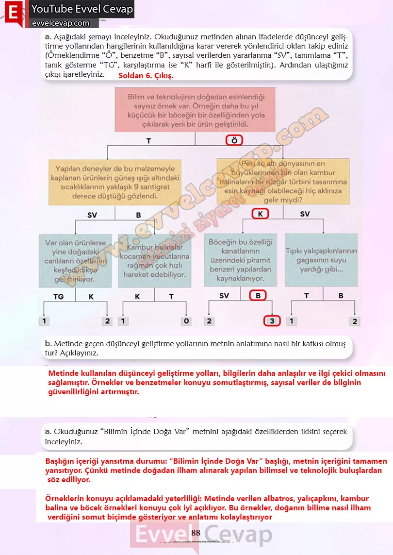 6-sinif-turkce-ders-kitabi-cevaplari-meb-yayinlari-sayfa-88-2-kitap
