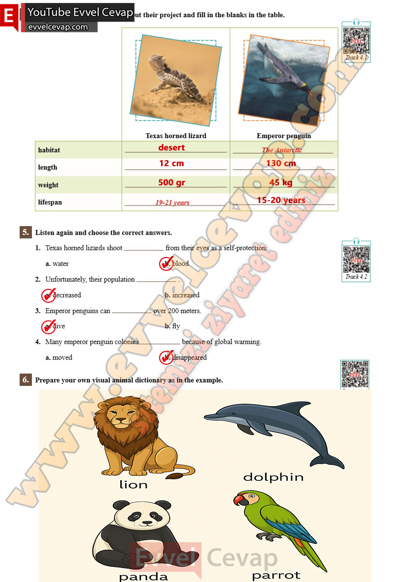 7-sinif-ingilizce-ders-kitabi-cevabi-sdr-ipekyolu-yayinlari-sayfa-61-2025-2026