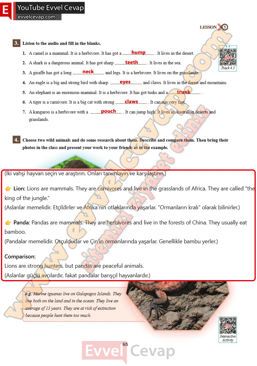 7-sinif-ingilizce-ders-kitabi-cevabi-sdr-ipekyolu-yayinlari-sayfa-65-2025-2026