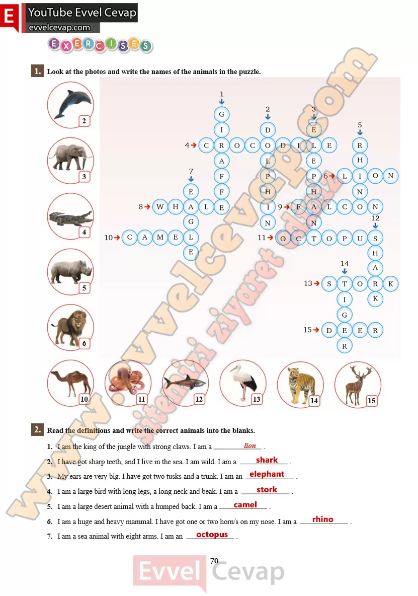 7-sinif-ingilizce-ders-kitabi-cevabi-sdr-ipekyolu-yayinlari-sayfa-70-2025-2026