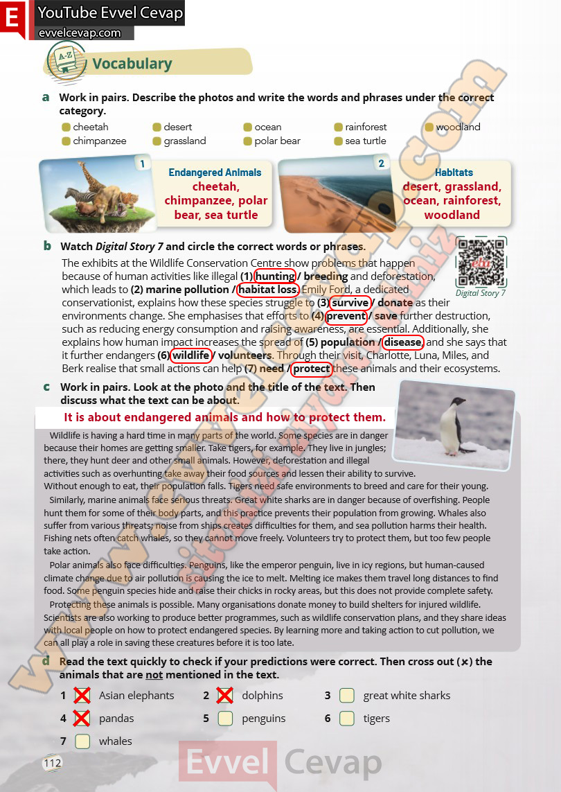 9-sinif-ingilizce-waymark-b1-1-ders-kitabi-cevabi-meb-yayinlari-sayfa-112-2025-2026