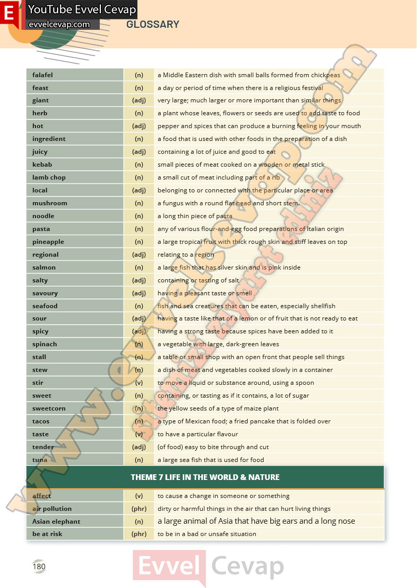 9-sinif-ingilizce-waymark-b1-1-ders-kitabi-cevabi-meb-yayinlari-sayfa-180-2025-2026