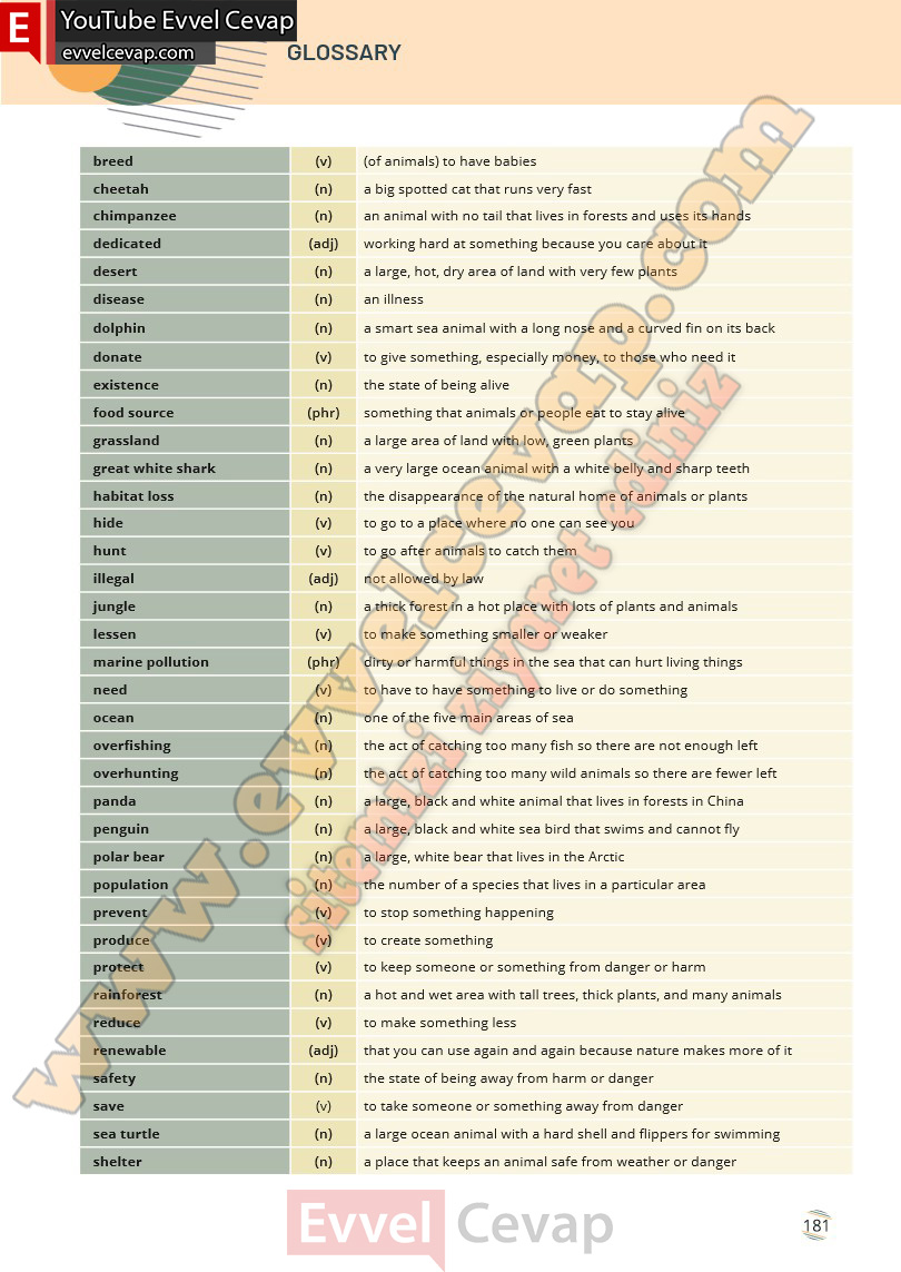 9-sinif-ingilizce-waymark-b1-1-ders-kitabi-cevabi-meb-yayinlari-sayfa-181-2025-2026